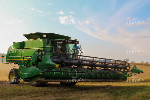 Soybean Harvest 52009