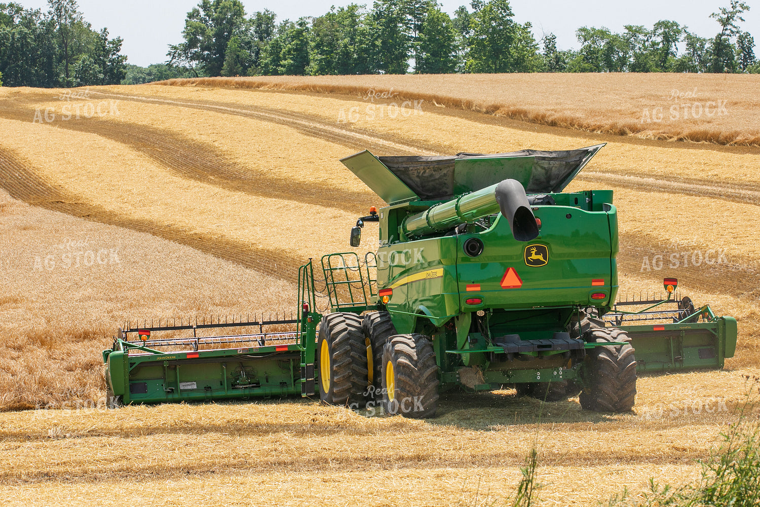 Wheat Harvest 145046