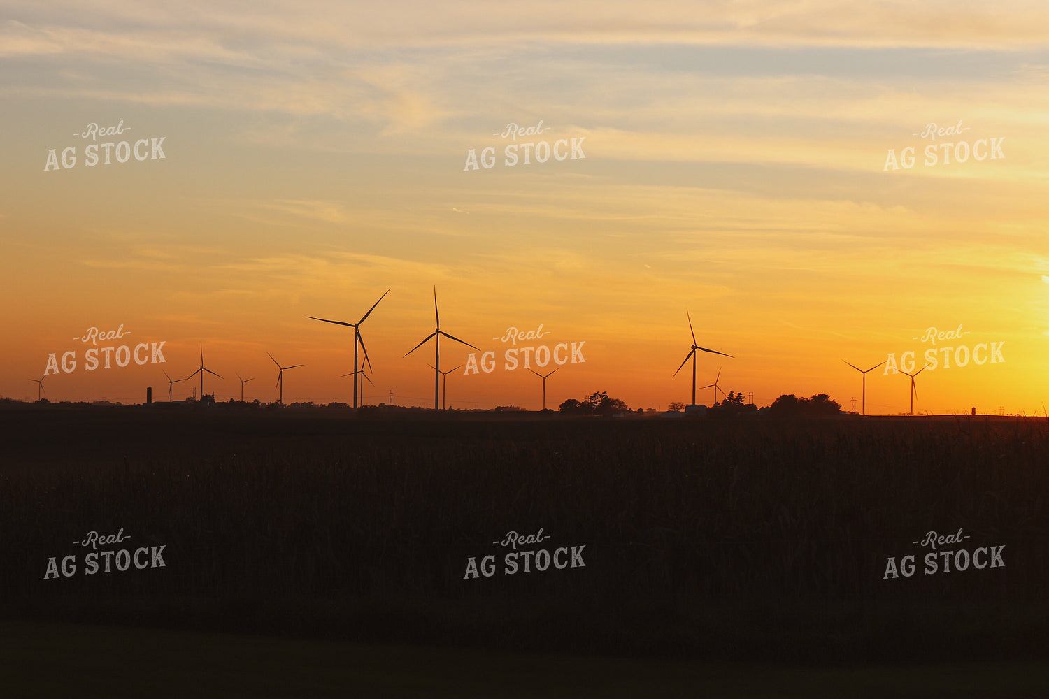 Windmill Silhouette 67014