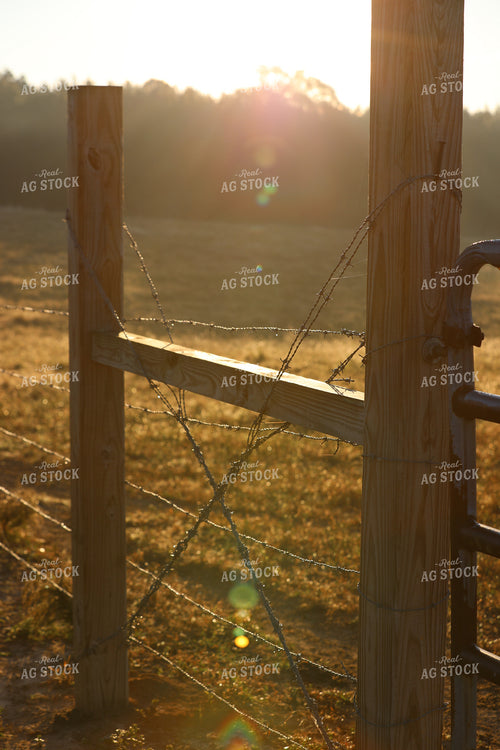 Dew on Barbed Wire Fence 262009