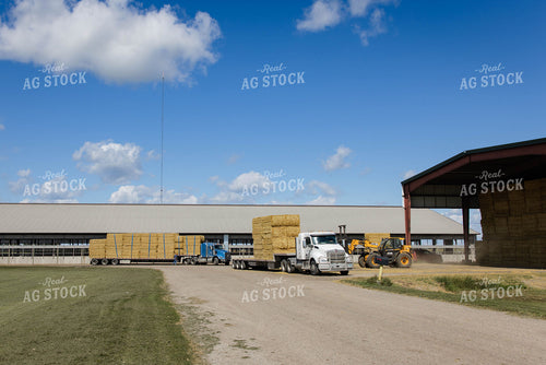 Moving Wheat Straw Bales 152607