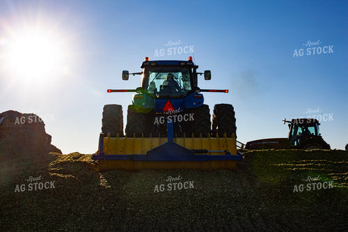 Piling Corn Silage 132092