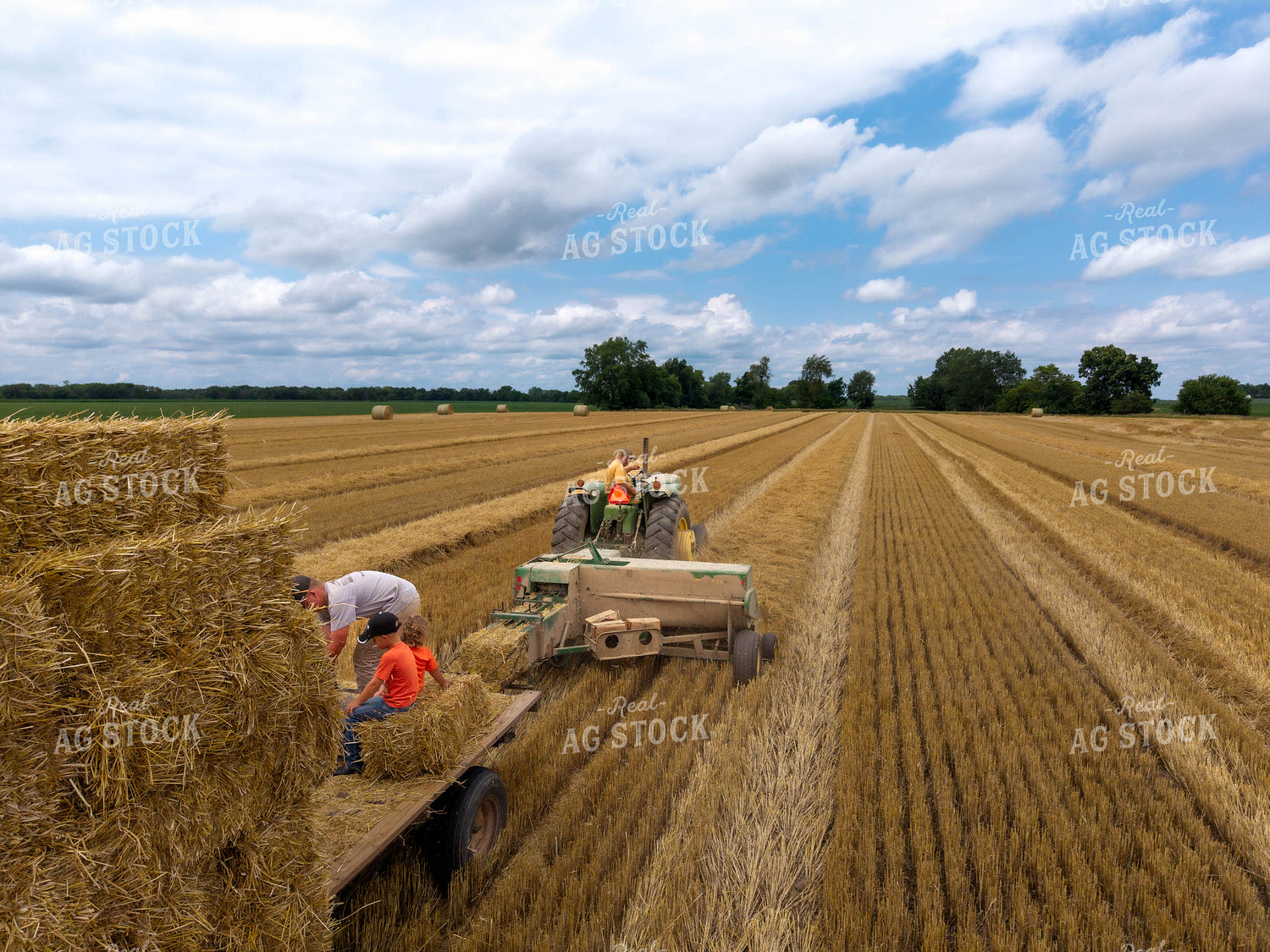 Baling Square Hay Bales 115808