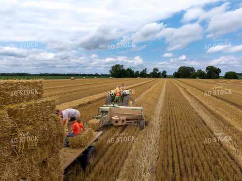 Baling Square Hay Bales 115808