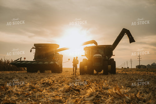 Family by Combine and Auger Cart at Sunset 5265