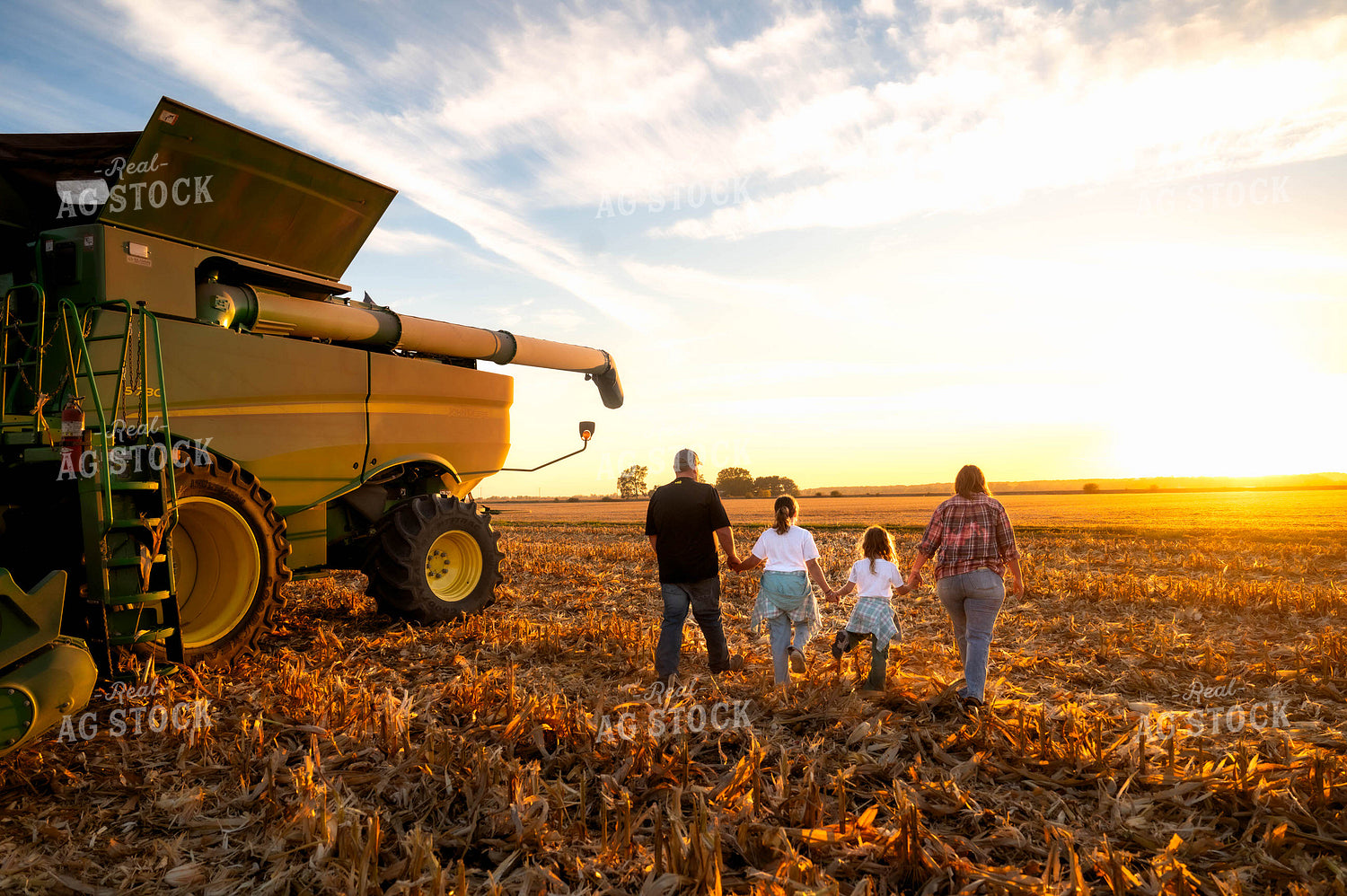 Farm Family by Combine 115580
