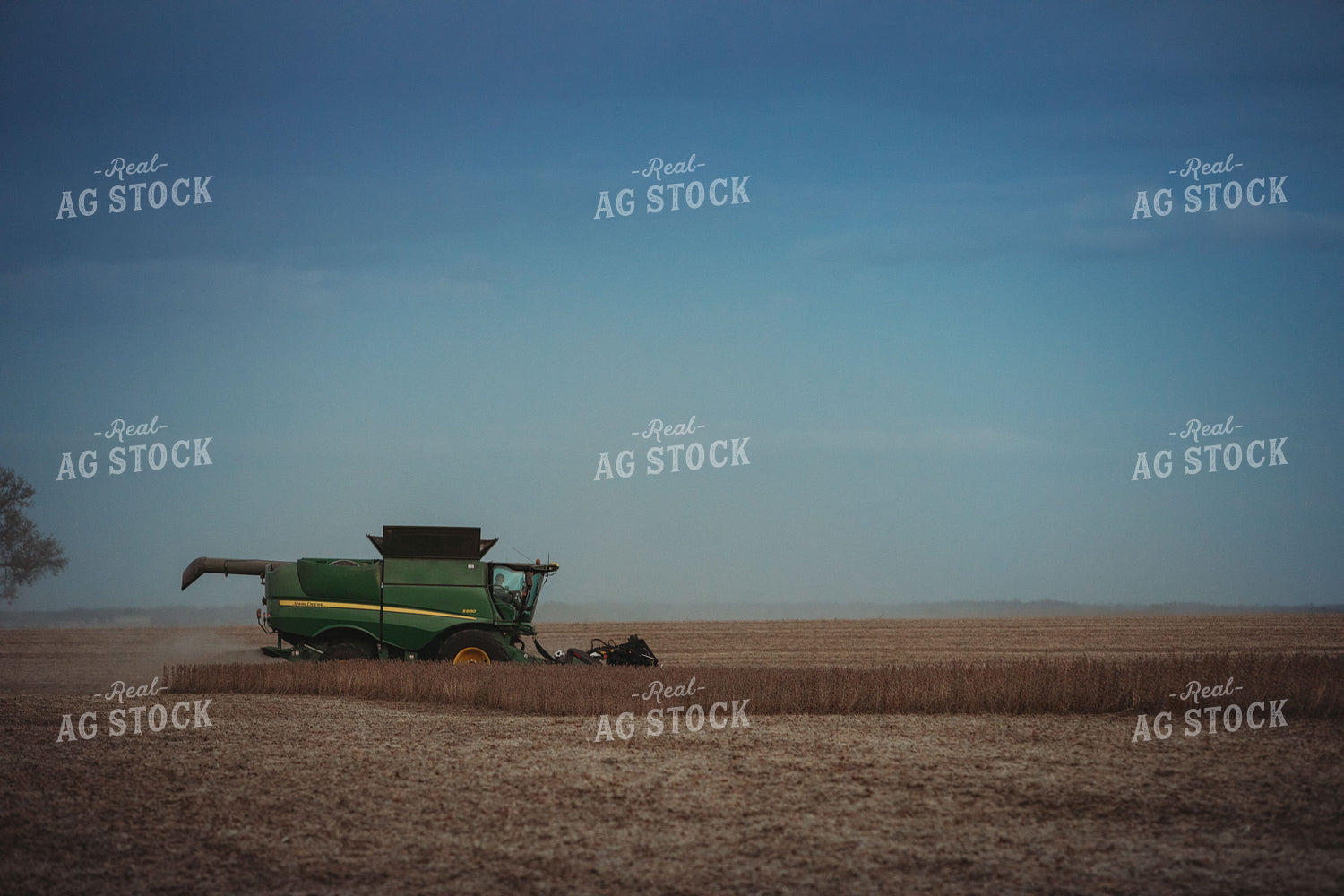 Combine Harvesting Soybeans at Dusk 3488