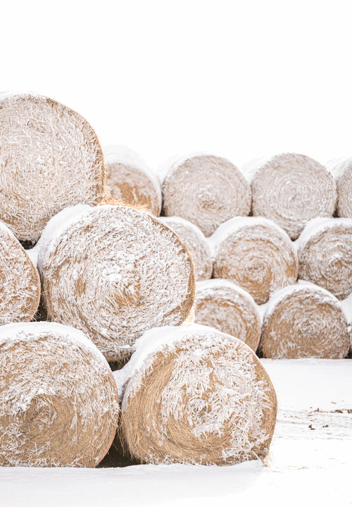 Hay Bales 185093