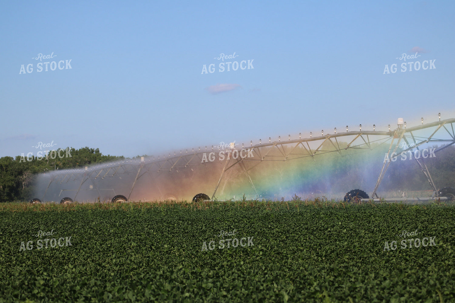 Irrigation System in Field 82089
