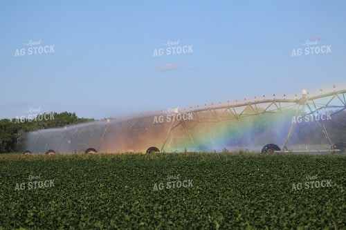 Irrigation System in Field 82089