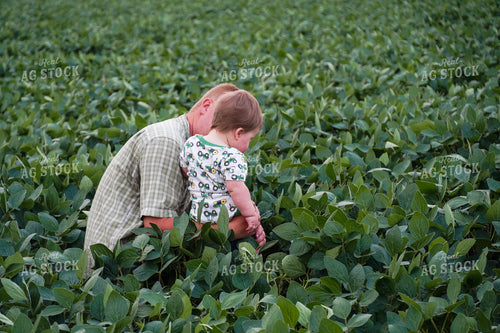 Farmer and Farm Kid in Soybean Field 65033