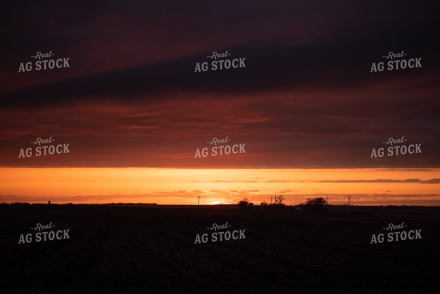 Rural Sunset with Windmills 68021
