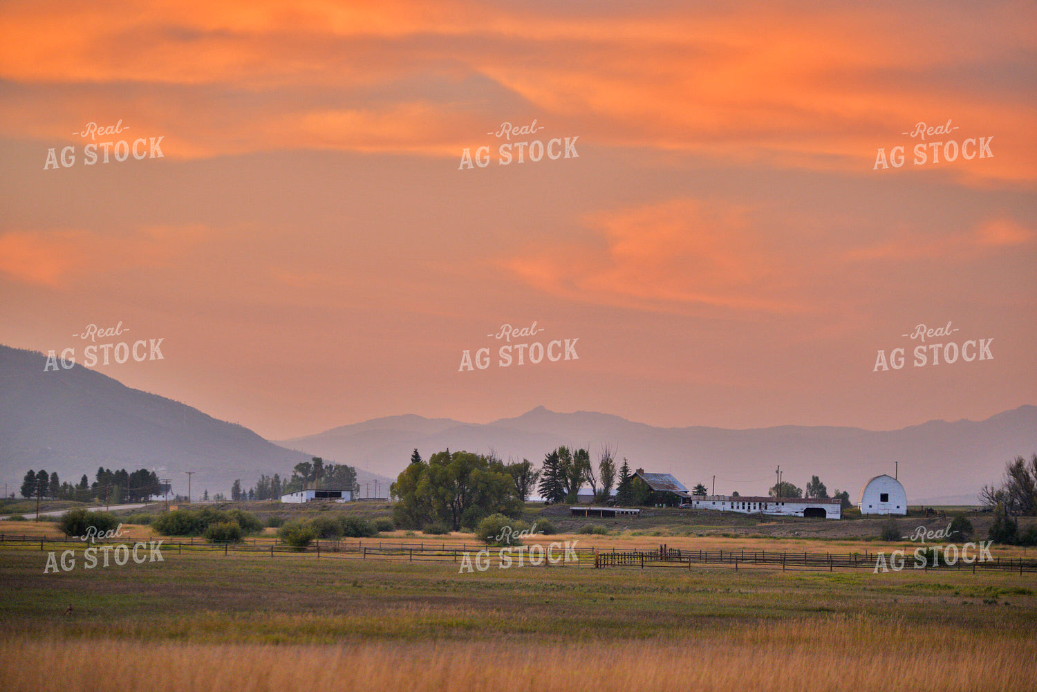 Scenic Pasture 110029