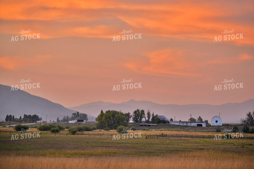 Scenic Pasture 110029