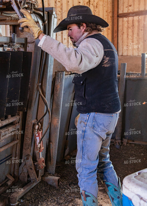 Rancher Working Cattle 231027