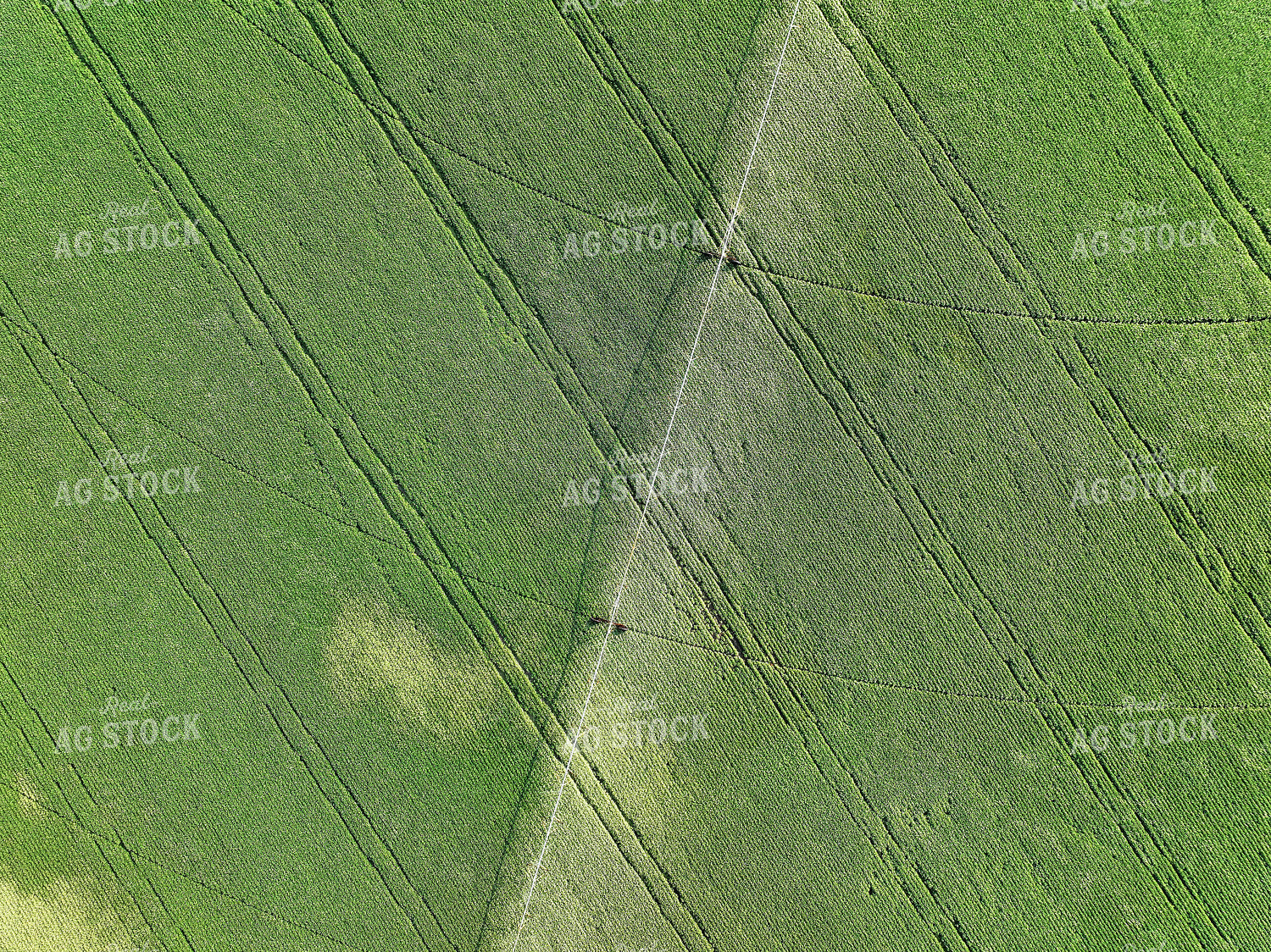 Aerial of Pivot Irrigation System in Soybean Field 141161