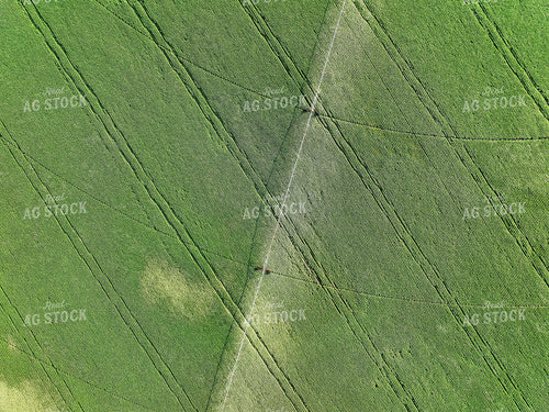 Aerial of Pivot Irrigation System in Soybean Field 141161