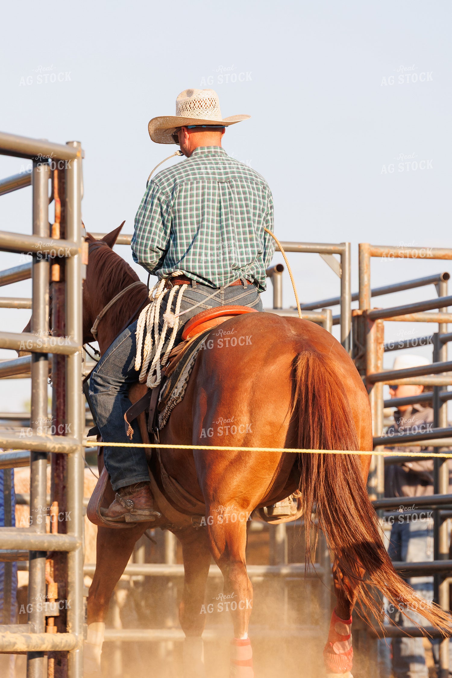 Rodeo 295145