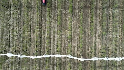 Spraying Apple Orchard 146040