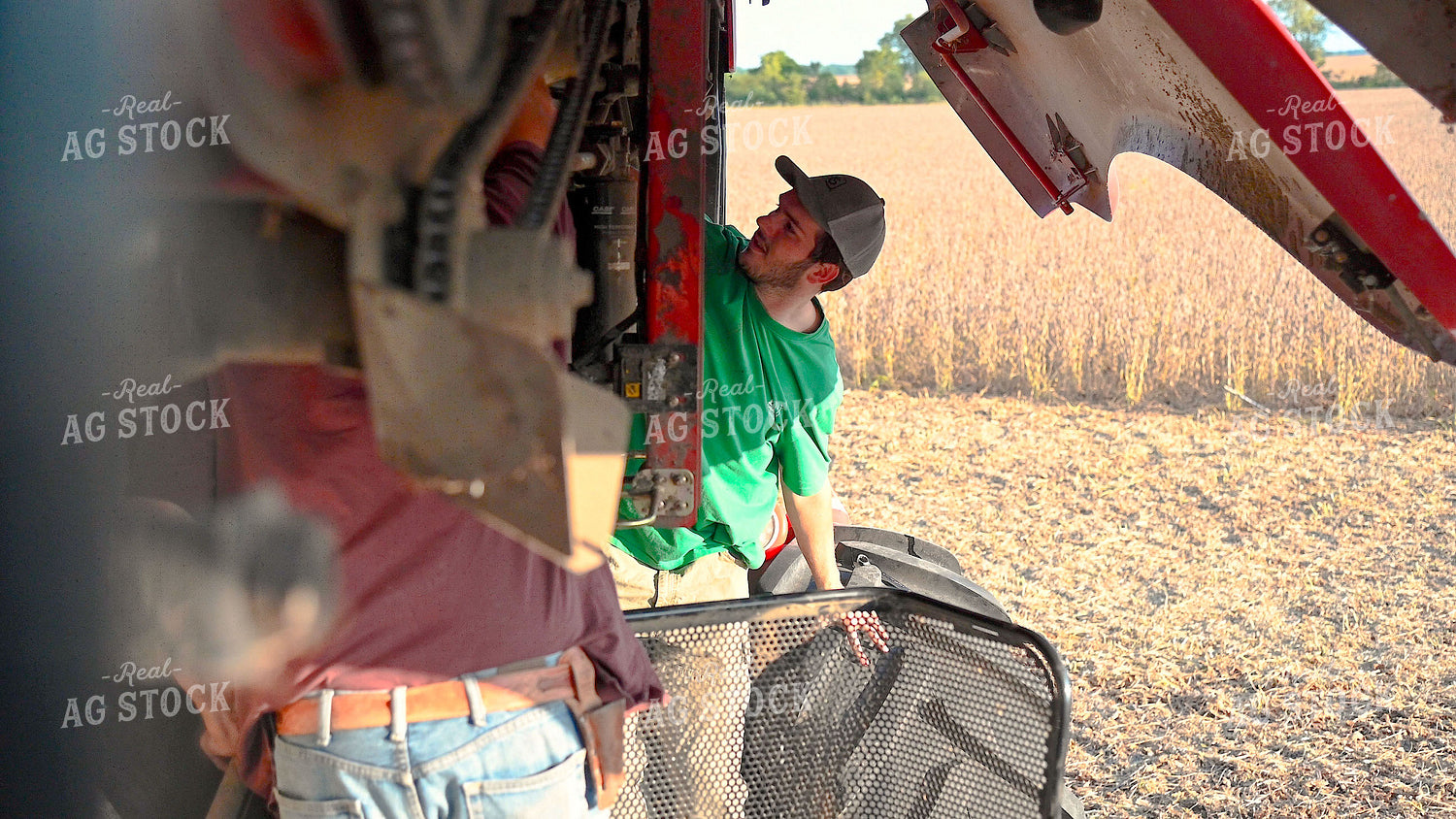 Multigenerational Farm Familiy Repairing Combine in a Bean Field 25513