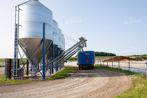 Mixing Feed 132222