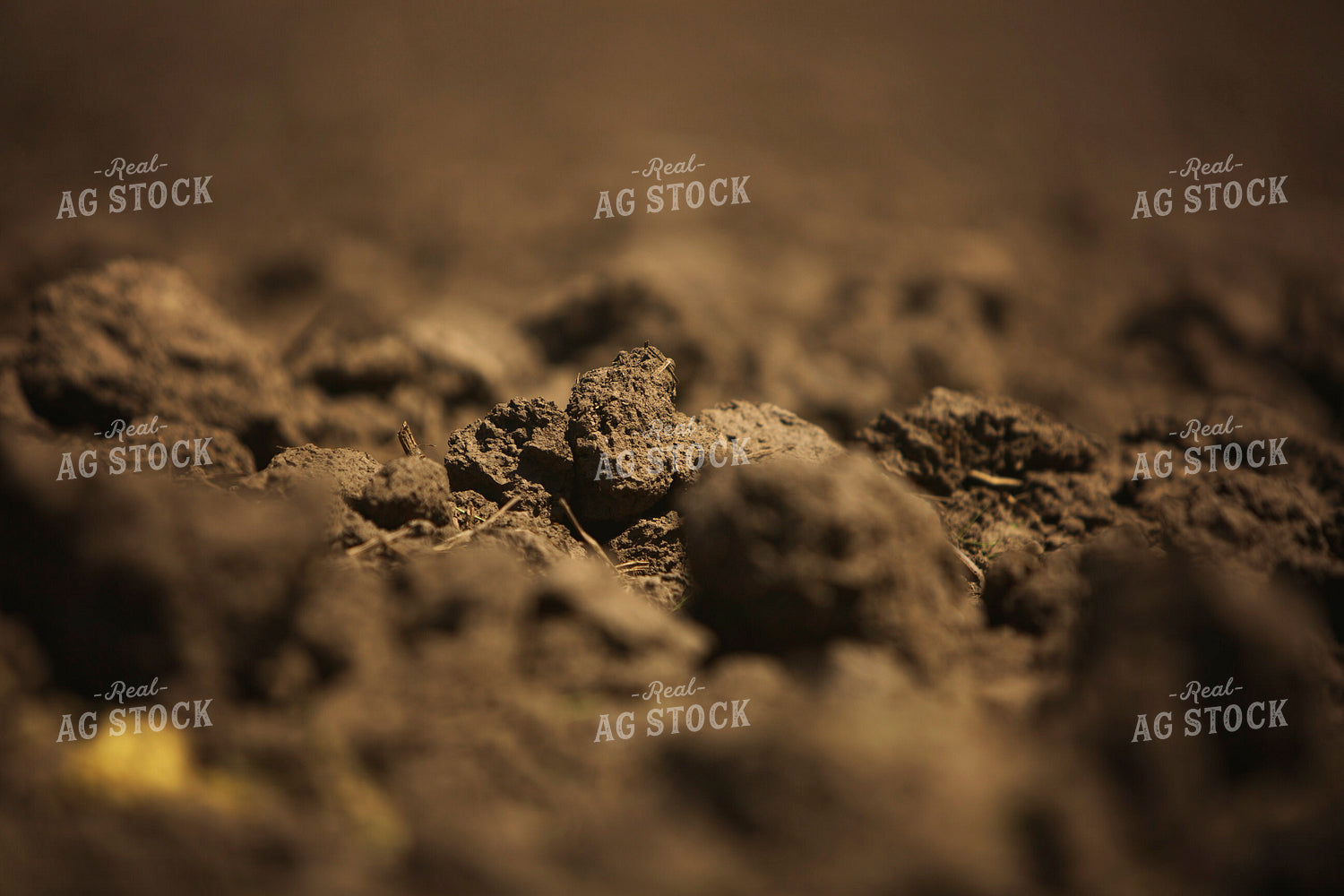 Tilled Soil 6357