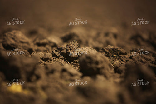 Tilled Soil 6357