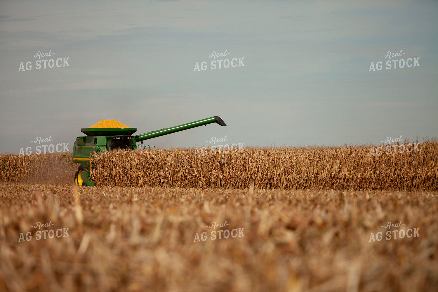 Harvest 1782