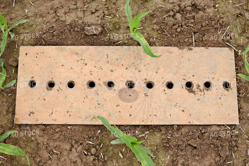 Soil Sampling 100060