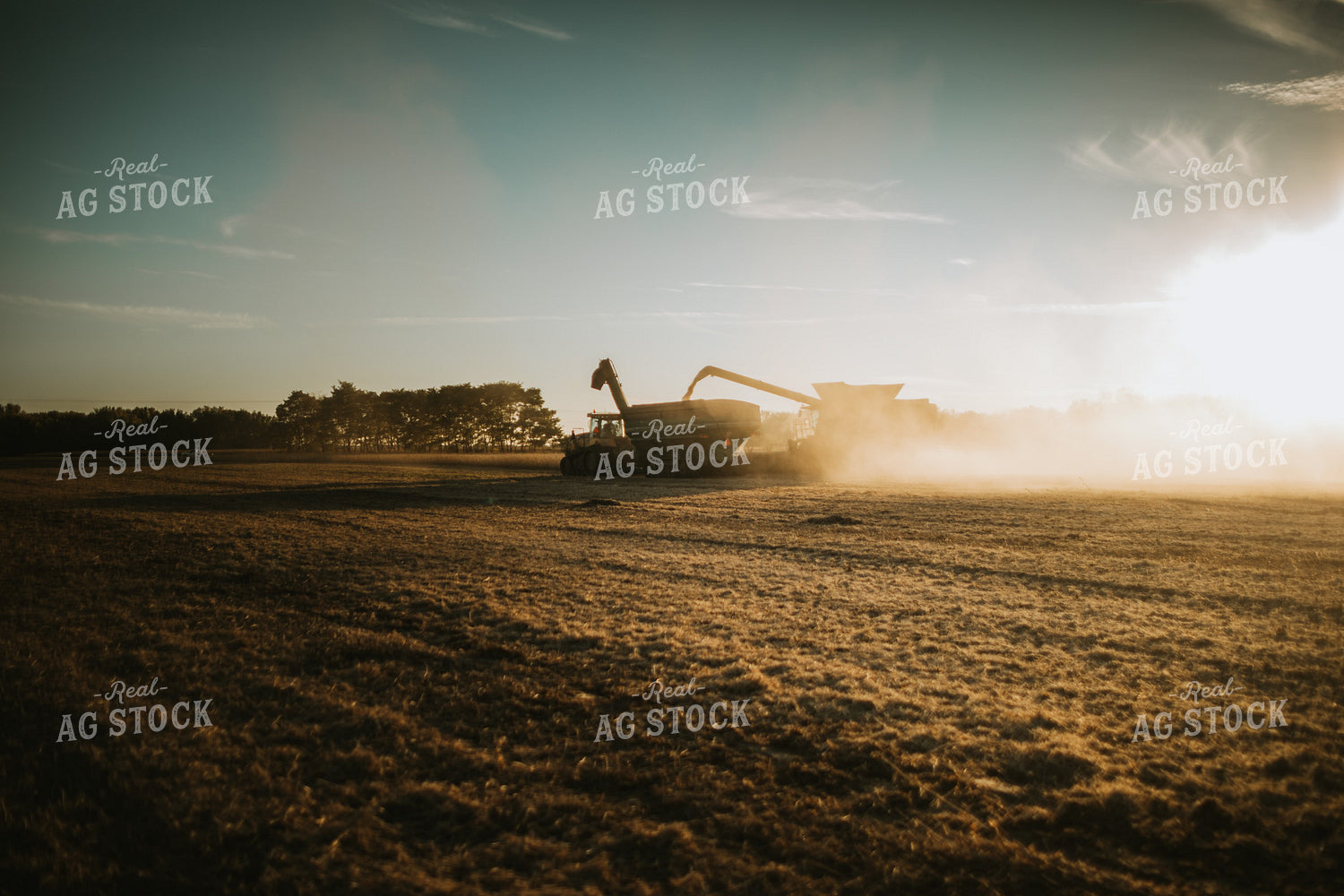 Combine Loading Auger Cart During Soybean Harvest 5077