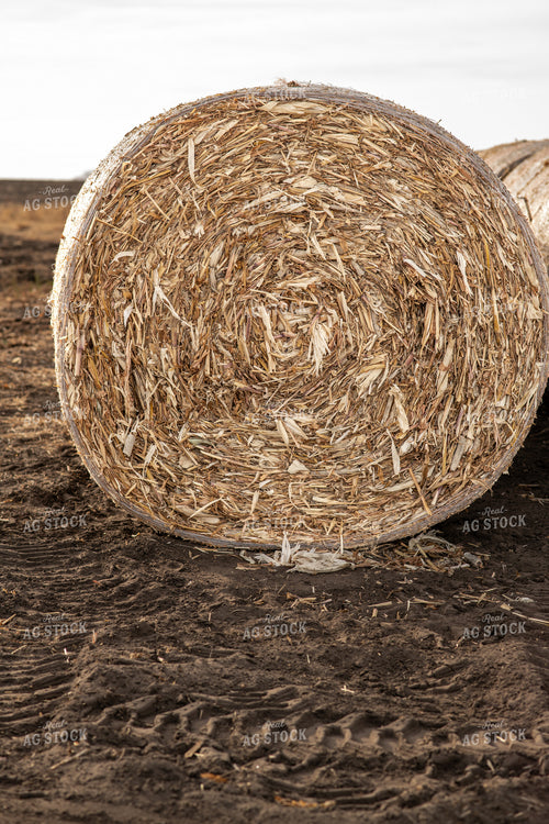 Corn Bale 76626