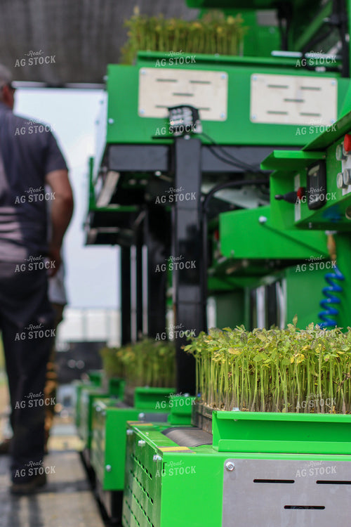 Loading Tomato Planter 109043