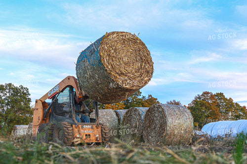 Moving Corn Stalk Bales 160366