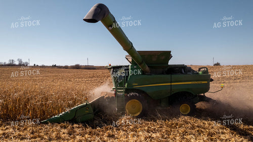 Corn Harvest 114009