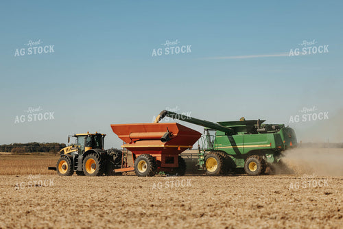 Soybean Harvest 152879