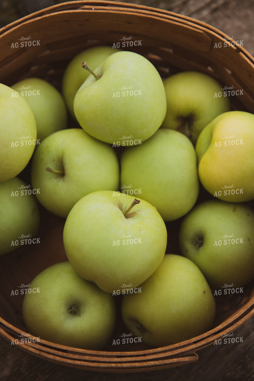 Apples 67839