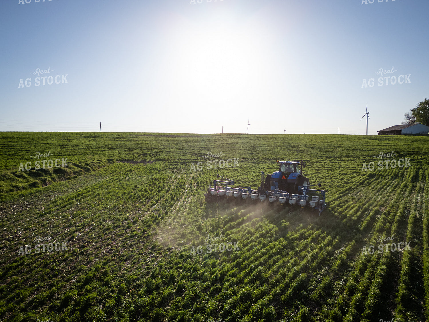 Planting into Cover Crop 268321