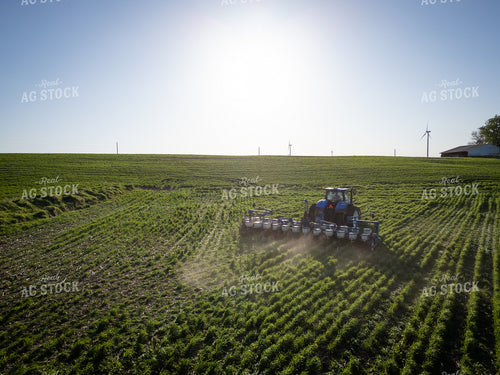 Planting into Cover Crop 268321