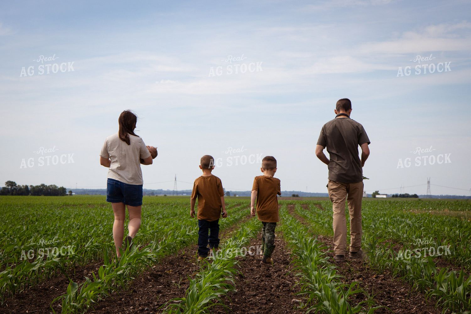 Farm Family Checking Early Growth Corn 268301