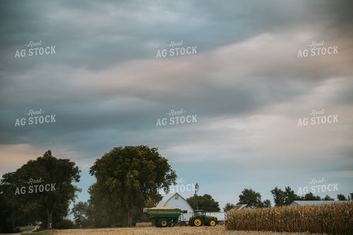 Corn Harvest 6690