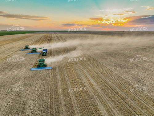 Aerial of Wheat Harvest 199007