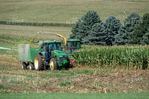 Corn Silage Harvest 193110