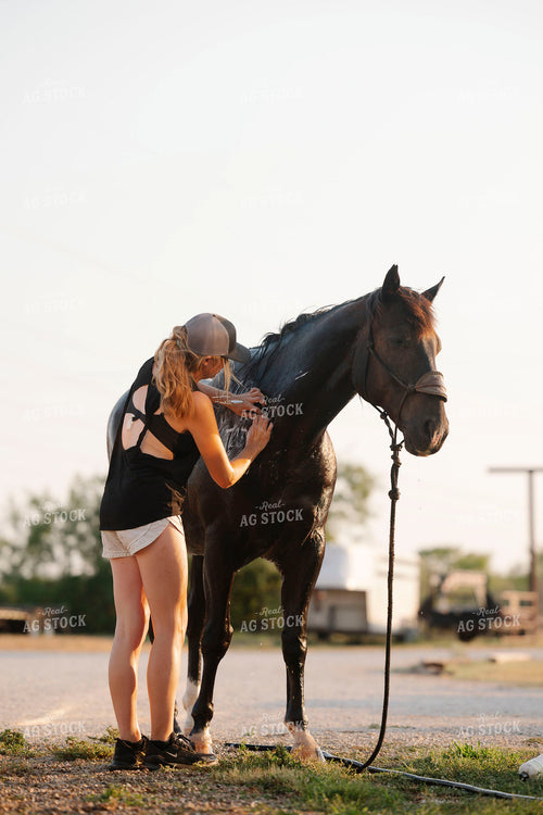 Washing Horse 205100