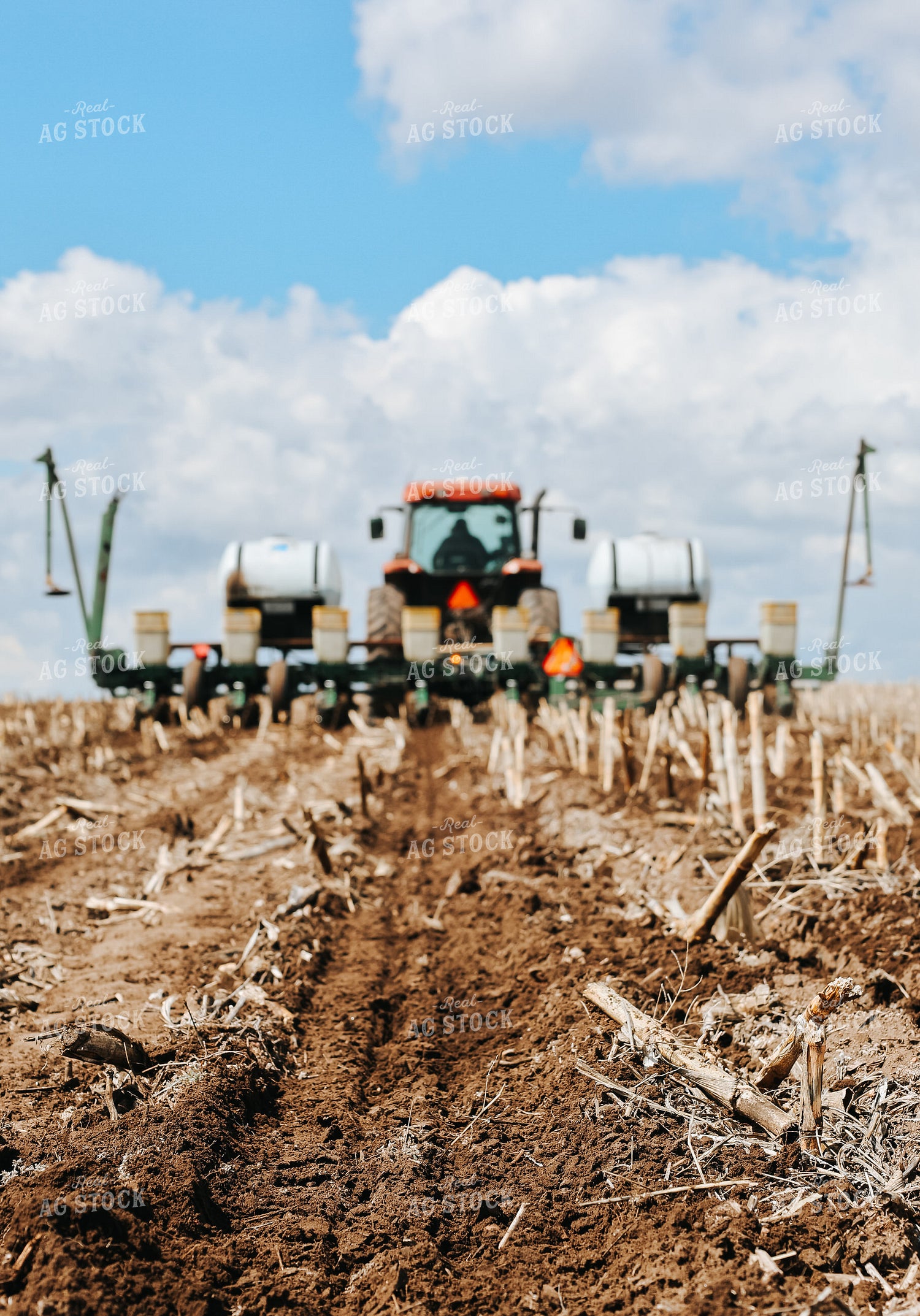 Planting 187035