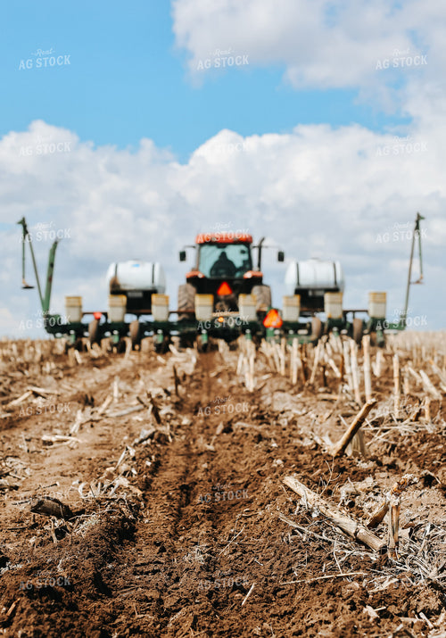 Planting 187035