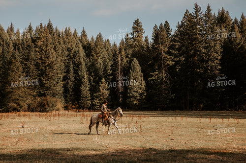 Rancher on Horseback in Pasture 66072