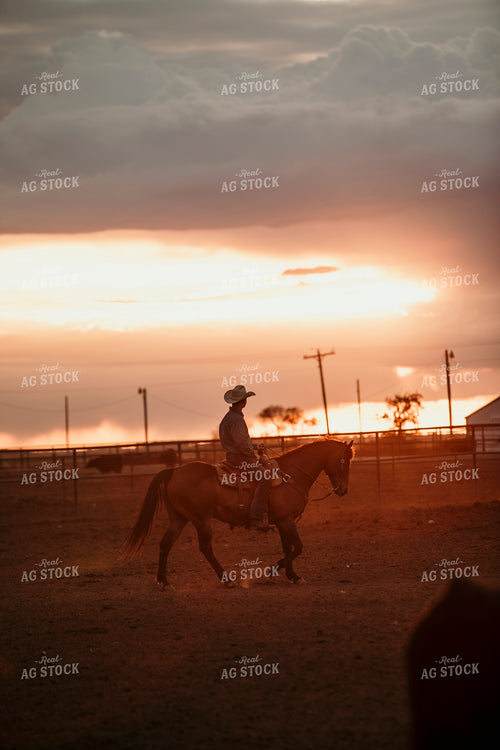 Feedyard 3122
