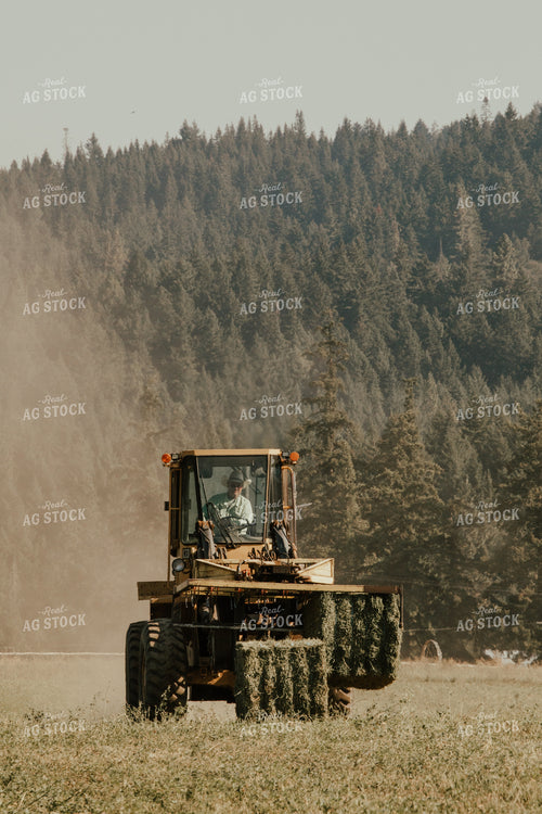 Rancher Moving Large Square Hay Bales 66022