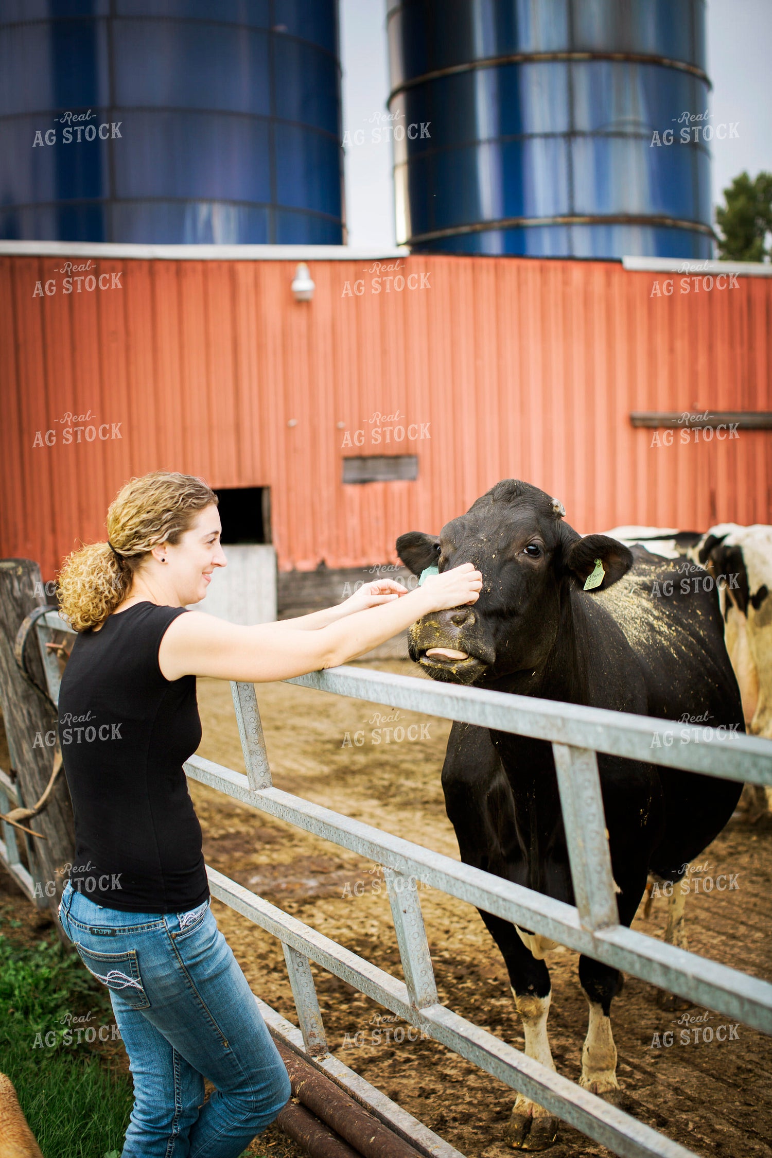 Dairy 2746