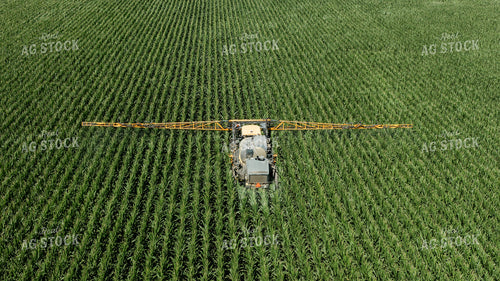 Spraying Corn 274067